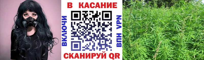 Купить закладку Псилоцибиновые грибы КОКАИН ГАШИШ Alpha-PVP Меф мяу мяу Канабис Лесной