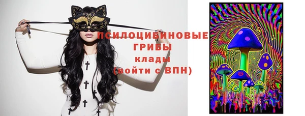 стафф Волоколамск