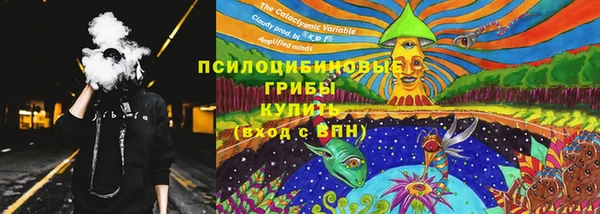 mdpv Володарск