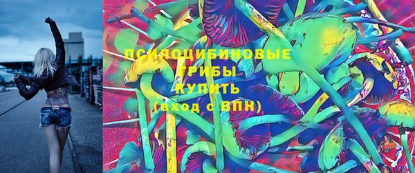 mdpv Володарск