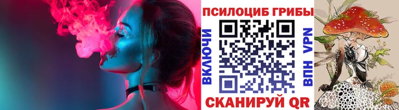 Купить где  Лесной  Псилоцибиновые грибы Psilocybine cubensis 